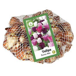 JUB - Tulipa Pastel mix, 35 bloembollen
