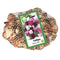 JUB - Tulipa Pastel mix, 35 bloembollen