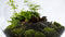 Growing Concepts DIY Duurzaam Ecosysteem Demeter lamp - H38xØ37cm