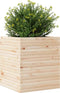 vidaXL - Plantenbak - 60x60x68,5 - cm - massief - grenenhout