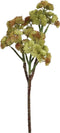 PTMD Succulent Plant Vetkruid Kunsttak - 23 x 16 x 38 cm - Geel/Groen