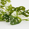 Mica Decorations Monstera Adansonii Kunst Hangplant - H53 cm - Groen Bont