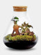 Erlenmeyer M Bonsai