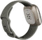 Fitbit Versa Sense - Smartwatch - Stressmeting en huidtemperatuur - Grijs
