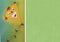 Haza Original Vliegerpapier Groen 70 X 100 Cm