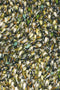 Brink en Campman - Spring 59107 Vloerkleed - 140x200 - Rechthoek - Hoogpolig,Structuur Tapijt - Modern - Meerkleurig