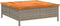 vidaXL - Parasolvoetbedekking - 70x70x25 - cm - poly - rattan - acaciahout - grijs