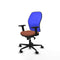 Piqueras y Crespo 2D036N0 - Bureaustoel - Verstelbare hoogte met armleuning - Blauw Bruin