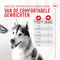 Royal Canin Joint & Ageing Supplements Chews Hond - 240 gram - circa 60 stuks