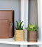 Oakywood Cubic Plant Pot - Massief Walnoot - Luxe Houten Kleine Plantenpot Bureauaccessoire