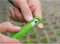 Pica - Potlood Houder - Metselaarspotlood 24 cm - Groen