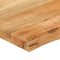 vidaXL - Tafelblad - met - natuurlijke - rand - 120x60x3,8 - cm - massief - mangohout