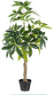 Decoratieve plant 54 x 52 x 120 cm Groen PVC