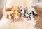 NICI 48699 knuffel
