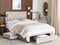 LIEVIN - Bed met opbergruimte - Beige - 140 x 200 cm - Fluweel