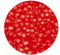 Foam Clay®, 560 gr, rood