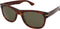 Serengeti Foyt Large - Zonnebril - Photochromic Polarized 555nm - Shiny Classic Havana (1 stuk)