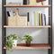 vidaXL - Wandschap - 100x50x2 - cm - onbehandeld - massief - eikenhout