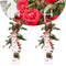 Plant in a Box - Rosa Crazy in love 'Red' - set van 2 Klimplanten - Klimroos met rode bladeren - Pot 15cm - Hoogte 60-70cm