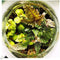 Growing Concepts DIY Duurzaam Ecosysteem Bol - H30xØ18cm