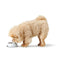 Voerbak voor honden Hunter Valencia Wit 160 ml