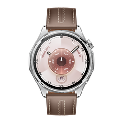 Huawei Watch GT6 - Smartwatch - 21 dagen batterijduur - 46mm Zilver (Bruin)