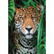 Clementoni - Puzzel 500 Stukjes - Jaguar in de Jungle - Multicolor