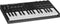 M-Audio Oxygen Pro Mini - MIDI Keyboard - 32 aanslaggevoelige toetsen met aftertouch - USB-bus powered