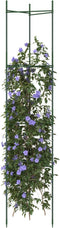 vidaXL - Tomatenkooi - 6 - st - 154 - cm - staal - en - polypropeen