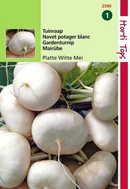 2 stuks Hortitops Rapen Platte Witte Mei