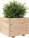 vidaXL - Plantenbak - 60x60x49,5 - cm - massief - grenenhout