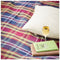 Picknickkleed Polo Tartan Morello - Wol - Waterdicht - 145x183cm - Tweedmill