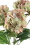 PTMD Hydrangea Flower Hortensia Kunststruik - 43x40x58 cm - Roze/Groen