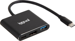 USB Hub iggual IGG318461