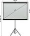 vidaXL - Projectiescherm - met - statief - 1:1 - 67''