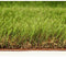 Gras - EXELGREEN - 124414 - Natura 2D - 38mm / 1 x 5 m