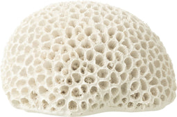 J-Line decoratie Koraal Rond - polyresin - wit