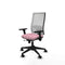Piqueras y Crespo 3D066N0 - Bureaustoel - Verstelbare hoogte met armleuning - Roze