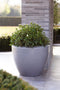 Capi Europe - Bloempot bol Arc Granite - 48x35 - Antraciet - Bloempot Voor binnen en buiten - Beschikbaar in XL formaten - Breukbestendig - 100% Recyclebaar - Levenslang garantie - NATS8032