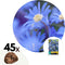 Plant in a Box - Anemone Blue Shades x45 - Griekse windbloem - Winterharde bloembollen voor tuin, terras of balkon