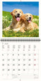 2026 Kalender schrijven 30 x 30 honden - gratis 2025