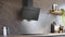 Siemens LC65KDK60 - Wandafzuigkap iQ100 - 550 m3/h - 72 dB(A)