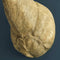 Wandlamp - Dierenlamp Gouden Hert XL