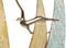 Wanddecoratie Home ESPRIT Blauw Gouden Jacht 117,5 x 5 x 58 cm