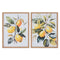 Schilderij Home ESPRIT Geel Wit Groen Citroen Mediterrane 30 x 1,8 x 40 cm (2 Stuks)