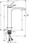 Hansgrohe Vivenis - Wastafelmengkraan - Ééngreeps bediening - 210mm - Chroom