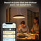 Philips Hue Amaze - Hanglamp - Draadloos dimbaar - Wit