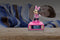 Minnie Mouse 3D Wekker met nachtlampje en geluiden