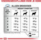 Royal Canin Veterinary Diet Skin Care Small Dog - Hondenvoer - 2 kg