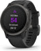 Garmin fenix 6S Sapphire - Smartwatch - GPS met TopoActive kaarten - Grijs (Zwart)